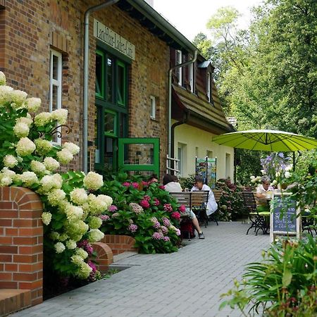 Gruener Wald Leilighet Burg Kauper Eksteriør bilde