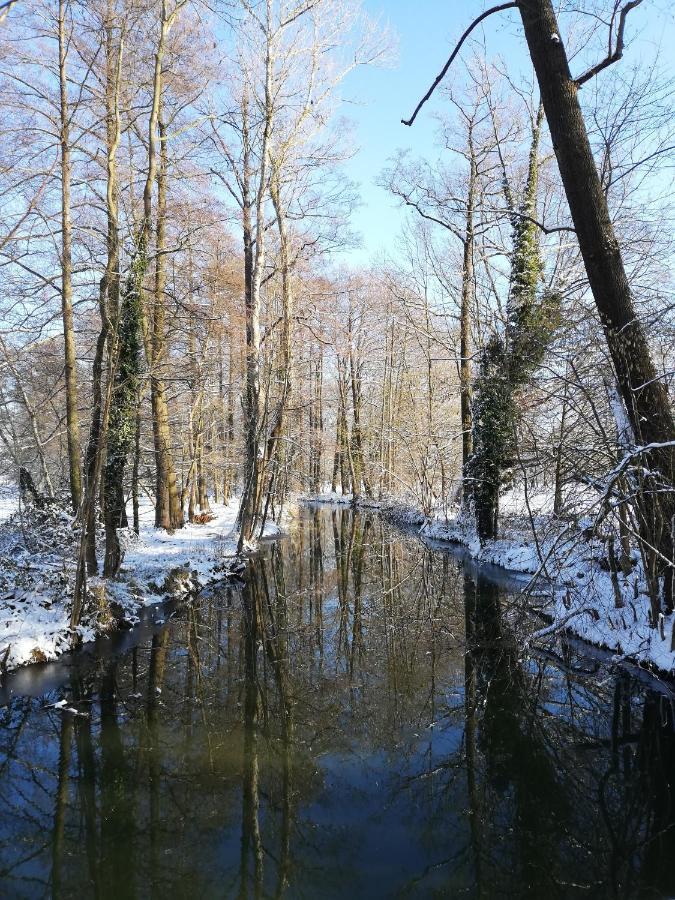 Gruener Wald Leilighet Burg Kauper Eksteriør bilde