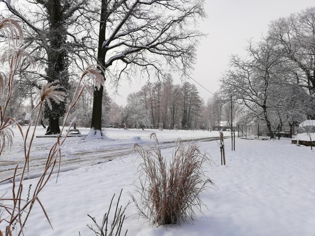 Gruener Wald Leilighet Burg Kauper Eksteriør bilde